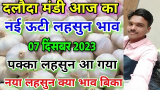 दलौदा मंडी आज का नई ऊटी लहसुन का भाव 07 दिसंबर 2023 new ooty garlic rate today ooty garlic rate [upl. by Netsirt]