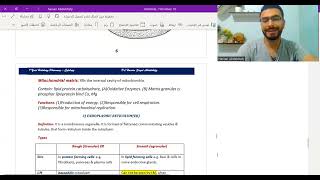 Mitochondia and endoplasmic reticulum Histology dr Hassan Abdalshafy علاج طبيعي [upl. by Artus]