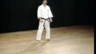 Shotokan Kata Jion  Kanazawa Hirokazu [upl. by Entsirhc356]