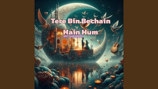 Tere Bina Bechain Hain Hum [upl. by Akinoj]