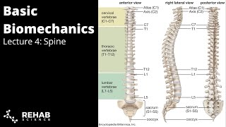 Biomechanics Lecture 4  Spine [upl. by Lrub]