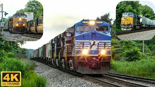 Railfanning Millfair Rd 71119 NS quotSonic Bonnet 4000 Leading NS 310 2 Train MeetMore [upl. by Bucella]