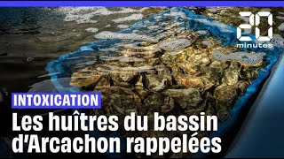 Bassin dArcachon  Les huîtres interdites à la vente après des intoxications [upl. by Rahs]