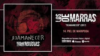 LOS DE MARRAS quotPiel De Mariposaquot Audiosingle [upl. by Edmanda]