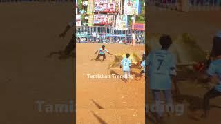 அமரன் Amaran shortstrendingjallikattu [upl. by Llerrem]