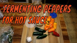 Fermenting Peppers For Hot Sauce [upl. by Nur]