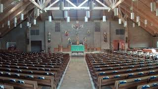 800am Mass from Holy Cross Catholic Church  November 8 2024 [upl. by Janka]