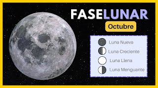 🌘 Fases de la luna octubre 2024 ✨ Calendario Lunar octubre 2024 🌙 Luna hoy luna calendariolunar [upl. by Anehsuc939]