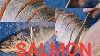 CLEANING AND CUTTING BIG AND FRESH NORWAYGIAN SALMON FISH SKILLS ASMR TRENDING [upl. by Denna]