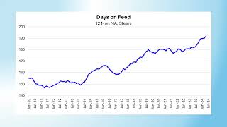 2024 Livestock Market Update [upl. by Akeem]