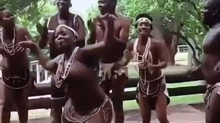 Africa the root of joy music and dance [upl. by Notsuoh]