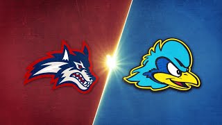 Highlights Delaware vs Stony Brook  2023 CAA Football [upl. by Kristien]