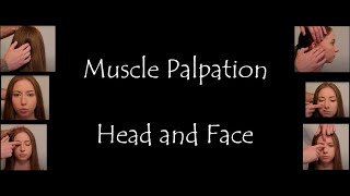 Muscle Palpation  Head and Face Masseter Temporalis Buccinator Orbicularis Oris Mentalis ASMR [upl. by Kreiner399]