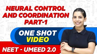 NEURAL CONTROL AND COORDINATION in 1 Shot Part  1  All Concepts amp PYQs  UMEED 20 [upl. by Francie721]