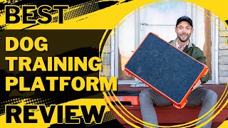 Best Place Training Platform For Dogs  Cato Board Review [upl. by Aisatsana]