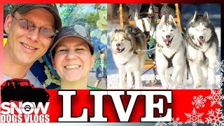 Previously Live With Snow Dogs Vlogs [upl. by Furey450]