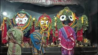 Shri Jagannath Sandhya Arati Darshan 🙏  12Nov2024 jagannathaarti [upl. by Cazzie]