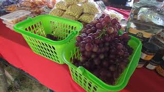 Gapuz Grapes Farm Bauang La Union  Philippines 2023 [upl. by Sells]