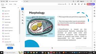 phylum microsporidia لافقاريات [upl. by Herahab]