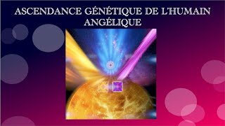 ASCENDANCE GÉNÉTIQUE DE LHUMAIN ANGÉLIQUE  que nous sommes  Ashayana Deane [upl. by Ecirad]