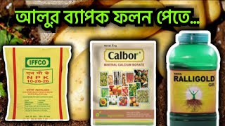 আলুর ব্যাপক ফলন পেতে রাসায়নিক সার Micronutrients humic acid amino acid Potato cultivation [upl. by Rennie]