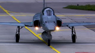 Swiss Top Guns  F5 Tiger and F18 Hornet action in beautiful Meiringen Switzerland HD [upl. by Aniarrol434]