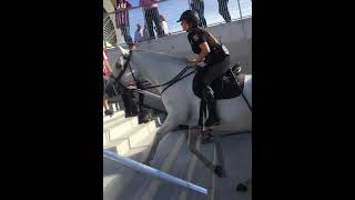 Caballos Policia en el Wanda Metropolitano subiendo por las escaleras con total destreza SHORT [upl. by Marcile157]