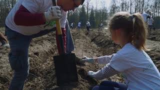 Ardagh Group Poland tree planting April 2019 [upl. by Yelrebmyk]