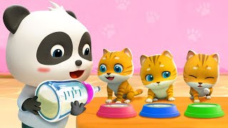 Kitty Cat Song  Play with Kittens  Pet Care Song  Nursery Rhymes amp Kids Songs  BabyBus [upl. by Annavoeg]