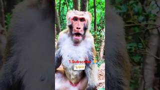 Those ka matlab re sala comedy news fun trandingreels2024 comedvideos [upl. by Bridgid735]