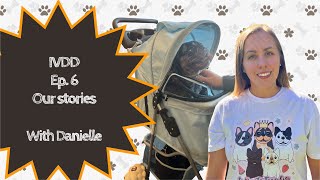 IVDD French Bulldog  ep6 Our Stories [upl. by Minardi]