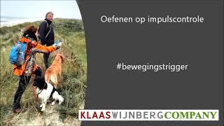 Werken met bewegingstrigger  Oeds Friese stabij  Klaas Wijnberg Company Oldemarkt [upl. by Kluge]