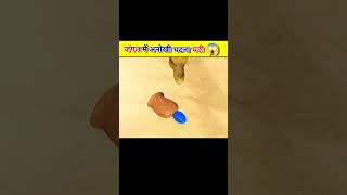 amazingfacts animation story cartoon factsinhindi ytshorts hindimoralstories amazing shorts [upl. by Randene206]