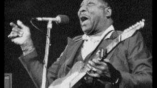 Muddy Waters amp Johnny Winter  Mannish Boy [upl. by Poul]