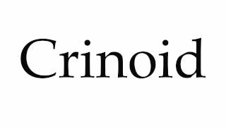 How to Pronounce Crinoid [upl. by Atsillac]