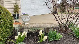 Sweet yet simple Spring planters in front of the garage and a Spring bulb garden fail [upl. by Nilesoy]