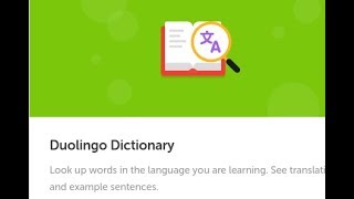 New Duolingo Dictionary [upl. by Tray]