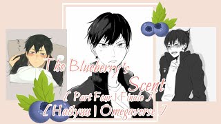 The Blueberrys Scent  Haikyuu Series  Omegaverse  Part Four  Finale  AsaKage [upl. by Iila356]