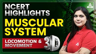 Locomotion and Movement Class 11 One Shot  Muscular System in 3D  NEET 2024  Garima Goel [upl. by Hays708]