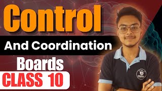 Control And Coordination Neurons Part 2 Class 10 Boards 20242025 [upl. by Nelag145]