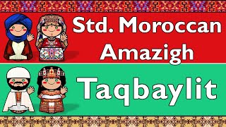 STANDARD MOROCCAN AMAZIGH amp TAQBAYLITKABYLE [upl. by Anilasor]