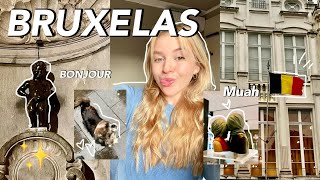 COZY VLOG DIAS EM BRUXELAS [upl. by Tnahsin]