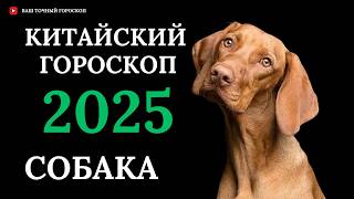 СОБАКА 2025  ПОДРОБНЫЙ КИТАЙСКИЙ ГОРОСКОП НА 2025 ГОД [upl. by Naamana471]