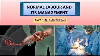 Normal Labor Part 1  FULL EXPLANATION IN HINDI BY NG MEDICALS WITH EASY NOTES [upl. by Amitak432]