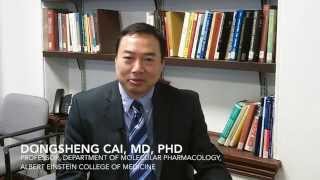 Dongsheng Cai MD PhD Discusses His Work in Aging Research [upl. by Ifok868]