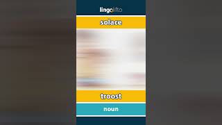 🇬🇧🇳🇱 solace  troost  vocabulary builder  learn English  laten we Engels leren [upl. by Wager380]