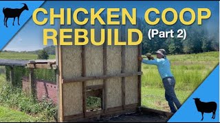 Chicken Coop Rebuild Part 2 Foundation amp 1st Wall [upl. by Gillespie]