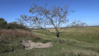 Schiermonnikoog [upl. by Blunt897]