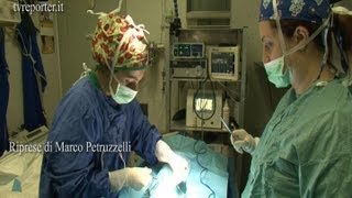 SOS VETERINARIO CHIRURGIA IN DIRETTA STERILIZZAZIONE DEL CANE IN CHIRURGIA TRADIZIONALE [upl. by Oswin649]