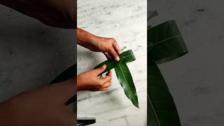 🍃🌺mango leaves decoration ideabackdrop decorationpooja decoration ideaviraldiyhomedecoridea [upl. by Alyks]